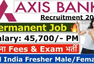 KYC Verification Work from Home Job in AXIS BANK