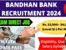 Work from Home Jobs for 12th Pass in BANDHAN BANK